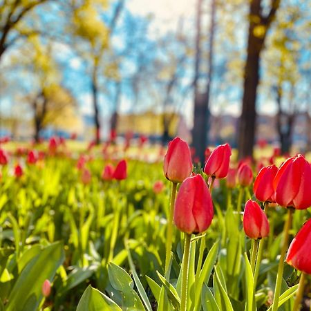 Schoene Aussichten Mitten In Berlin - Il Sole المظهر الخارجي الصورة